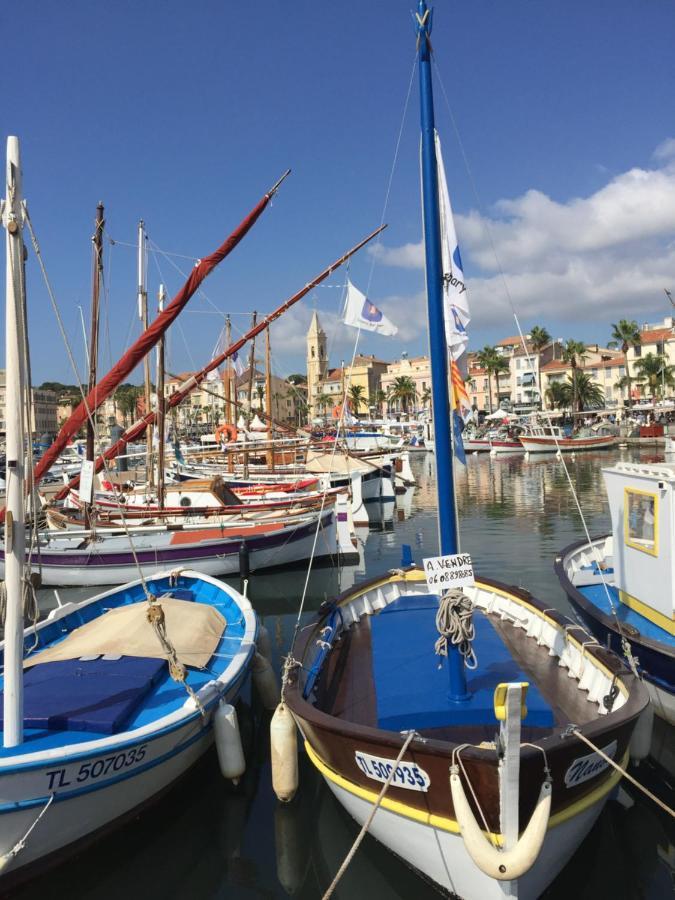 Superbe Sur Le Port Et Rue Pietonne Apartment *